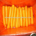 carrot in cartons